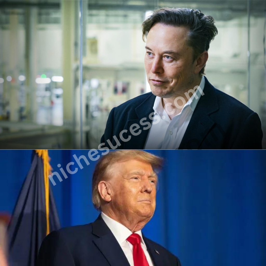 Unlikely Allies: Elon Musk and Donald Trump’s Surprising Political Partnership